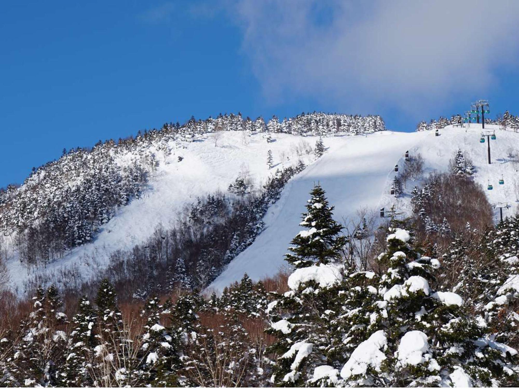 Shigakogen Prince Hotel Yamanouchi (Nagano) Exterior foto